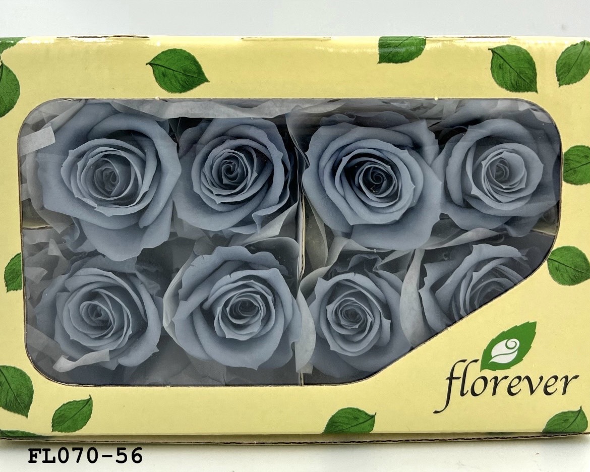 日本不凋中輪玫瑰(8朵) FL070-56