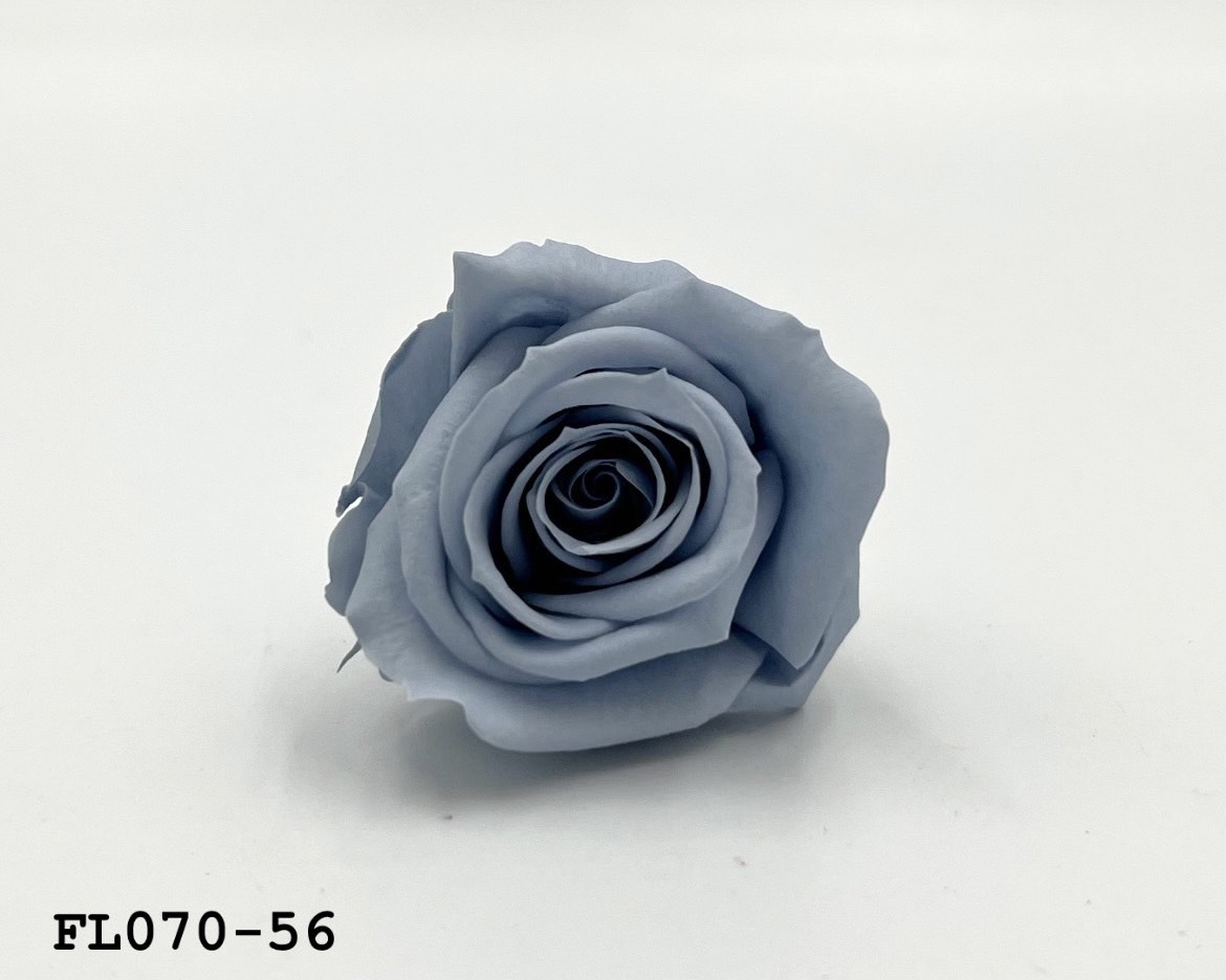 日本不凋中輪玫瑰(8朵) FL070-56