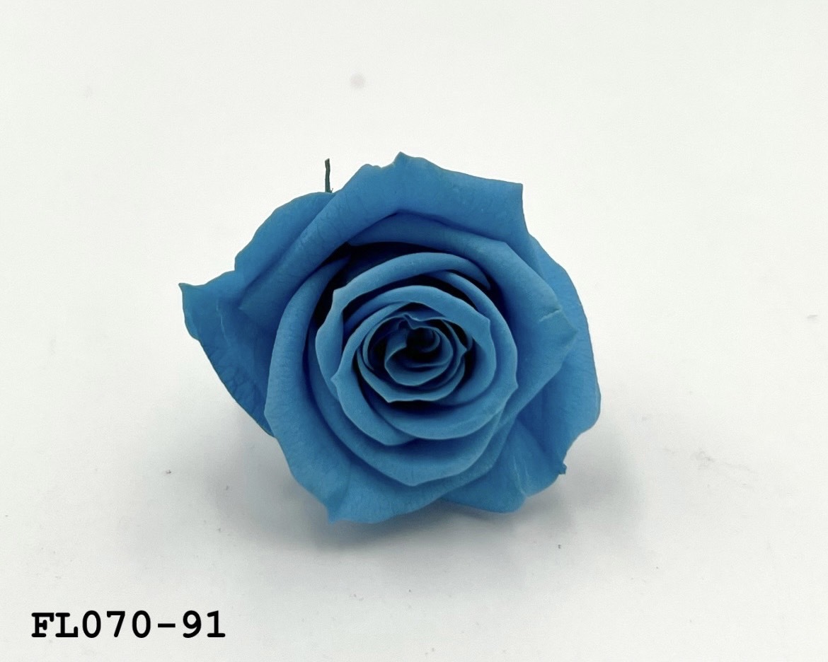 日本不凋中輪玫瑰(8朵) FL070-91