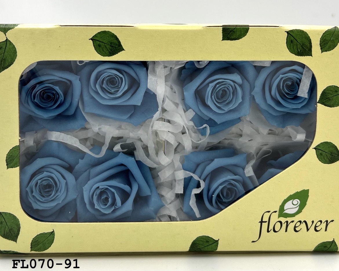 日本不凋中輪玫瑰(8朵) FL070-91