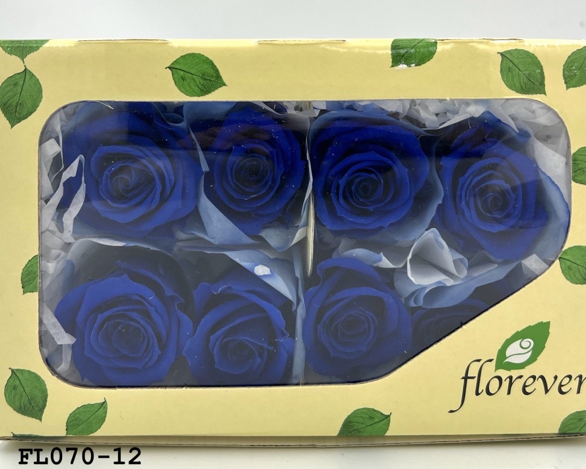 日本不凋中輪玫瑰(8朵) FL070-12