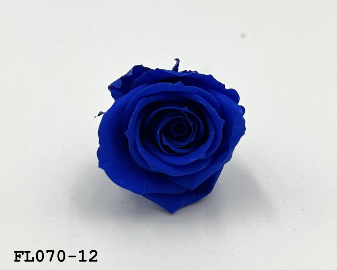 日本不凋中輪玫瑰(8朵) FL070-12