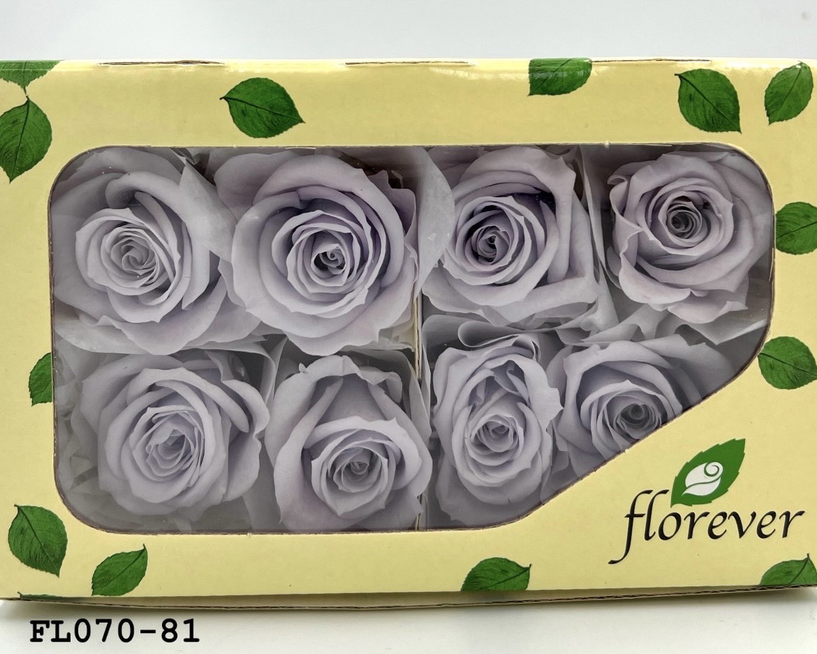 日本不凋中輪玫瑰(8朵) FL070-81