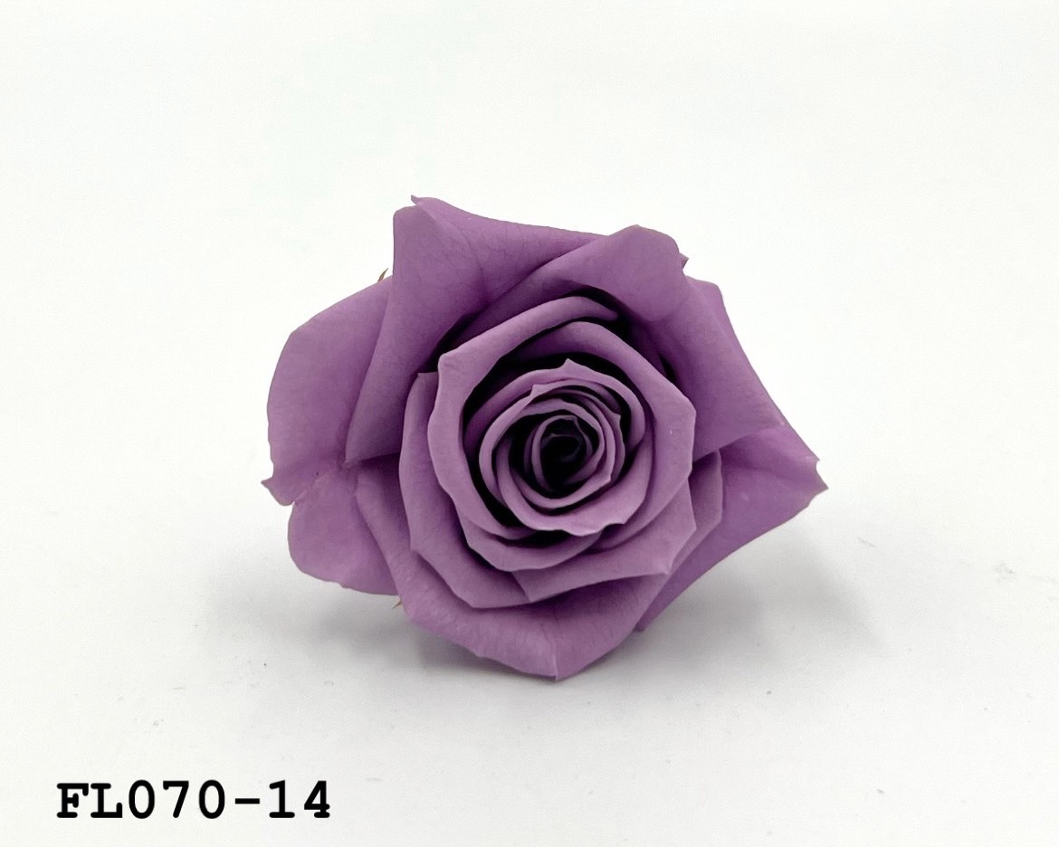 日本不凋中輪玫瑰(8朵) FL070-14