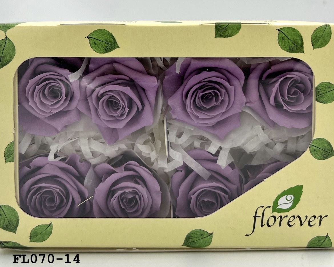 日本不凋中輪玫瑰(8朵) FL070-14