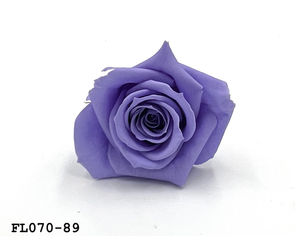 日本不凋中輪玫瑰(8朵) FL070-89