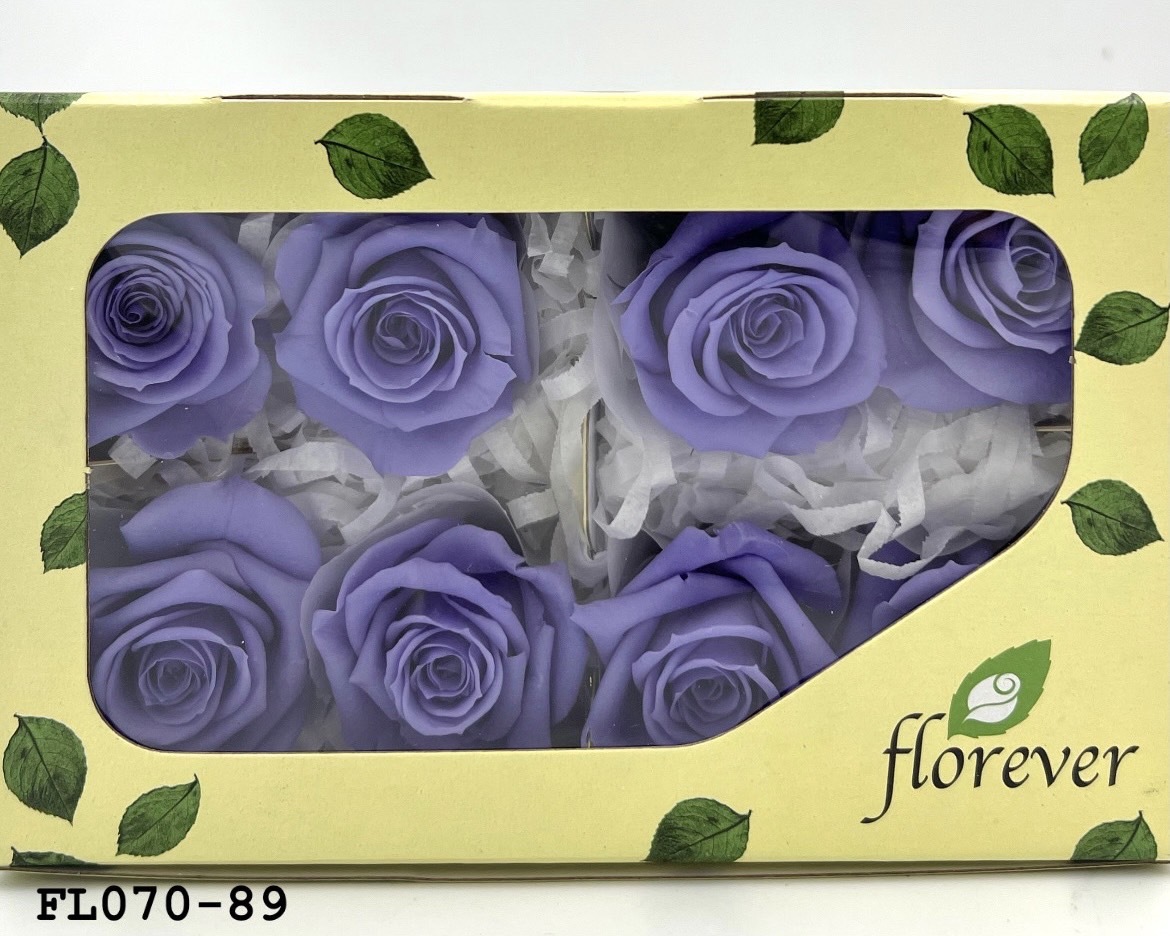 日本不凋中輪玫瑰(8朵) FL070-89