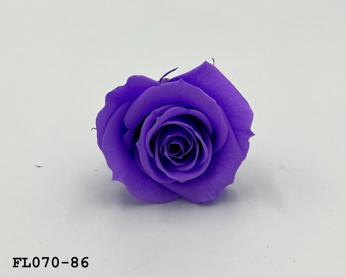 日本不凋中輪玫瑰(8朵) FL070-86