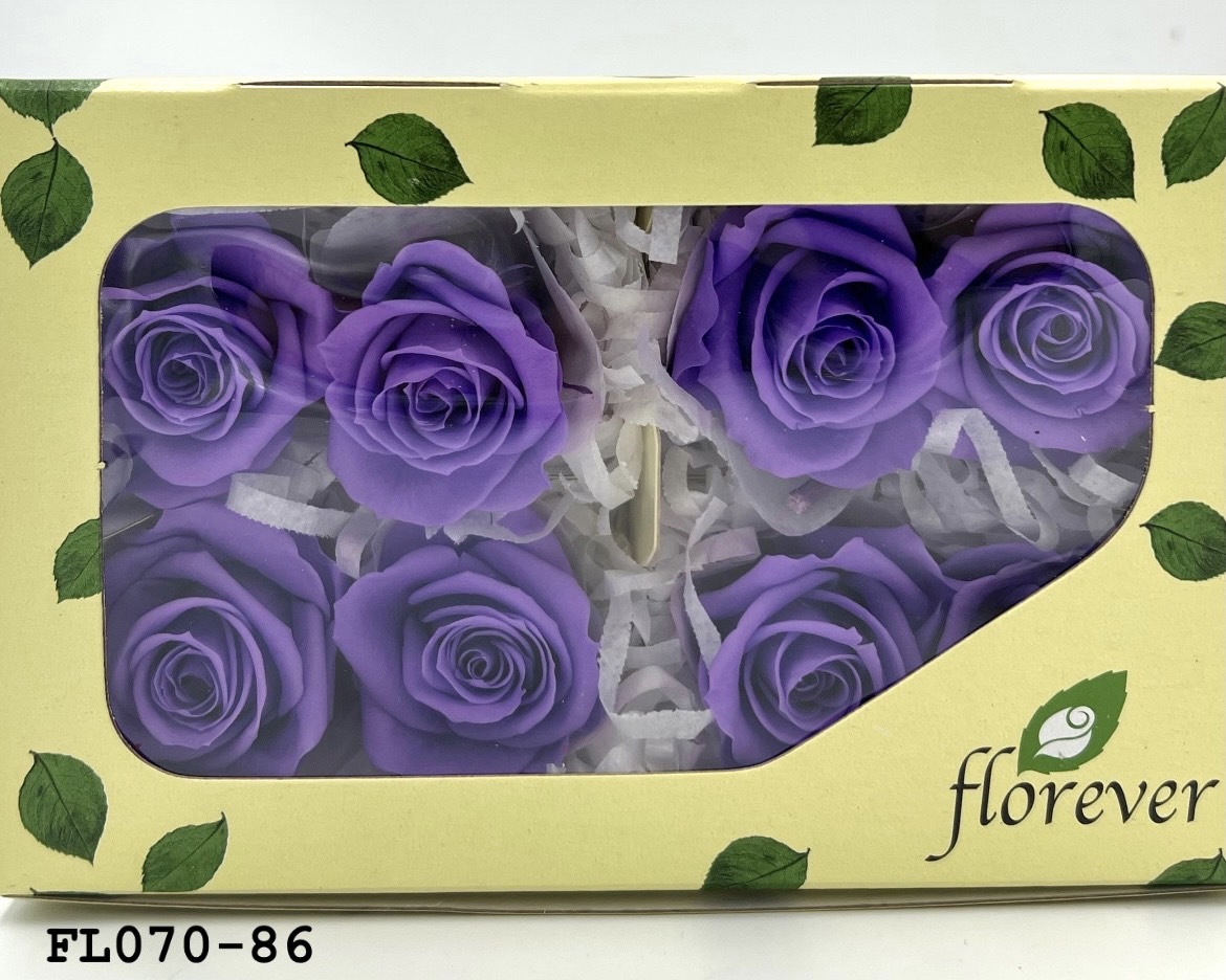 日本不凋中輪玫瑰(8朵) FL070-86