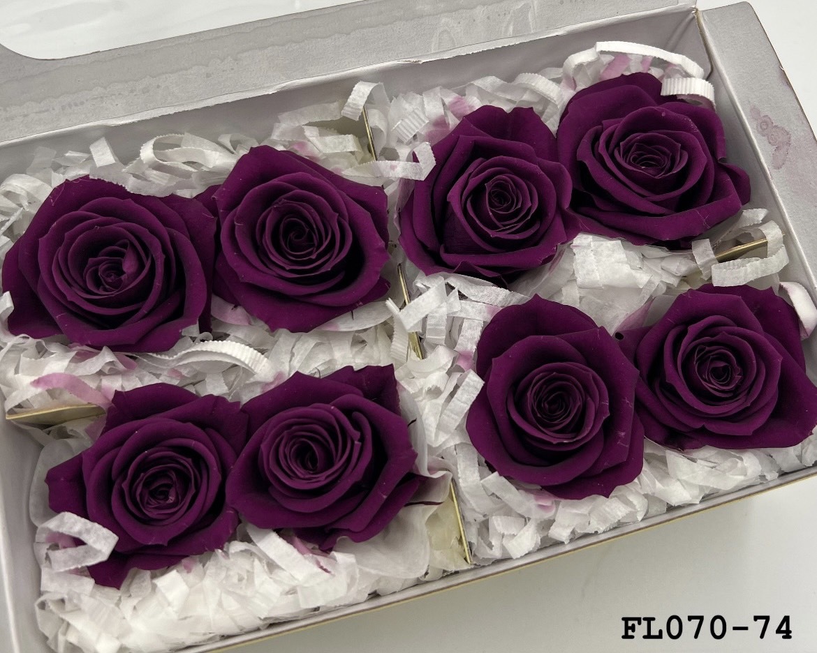 日本不凋中輪玫瑰(8朵) FL070-74