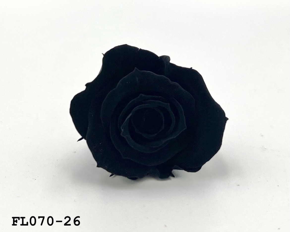 日本不凋中輪玫瑰(8朵) FL070-26