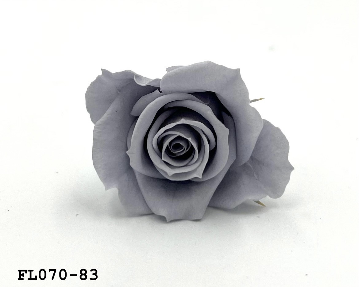 日本不凋中輪玫瑰(8朵) FL070-83