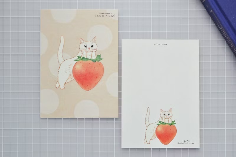 補補貓‧大衛煮愛｜明信片｜草莓白貓