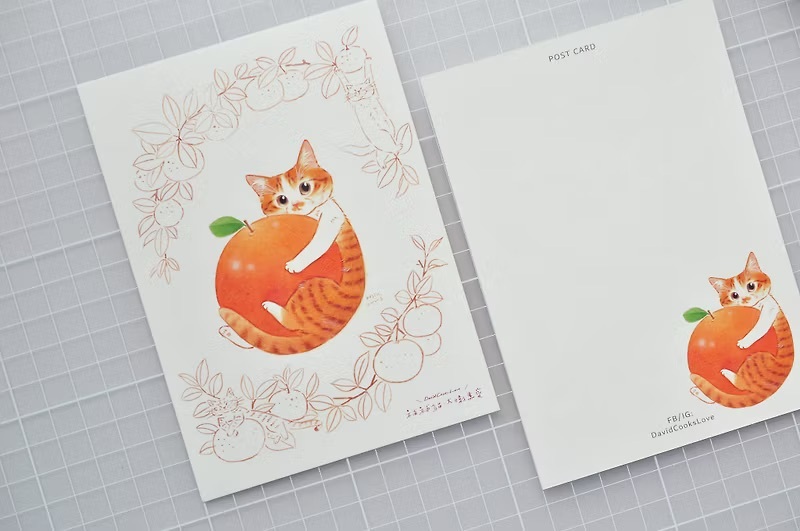 補補貓‧大衛煮愛｜明信片｜橘子寶寶