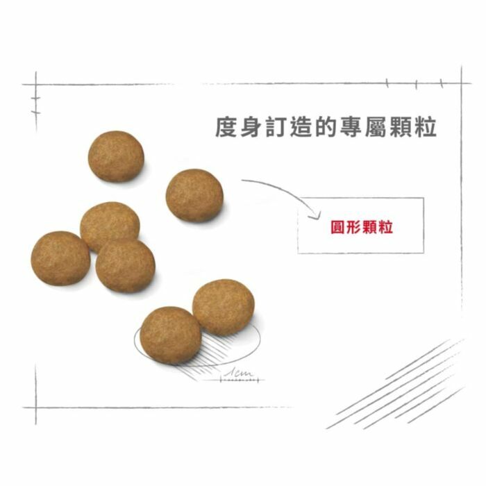 Royal Canin - 狗乾糧 - 中型成犬營養配方 4KG
