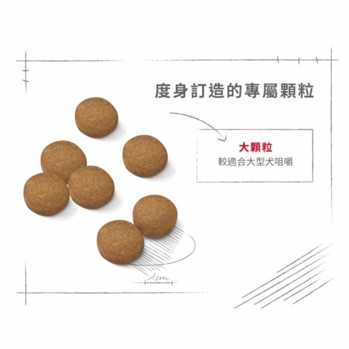 Royal Canin - 狗乾糧 - 大型成犬營養配方 15KG