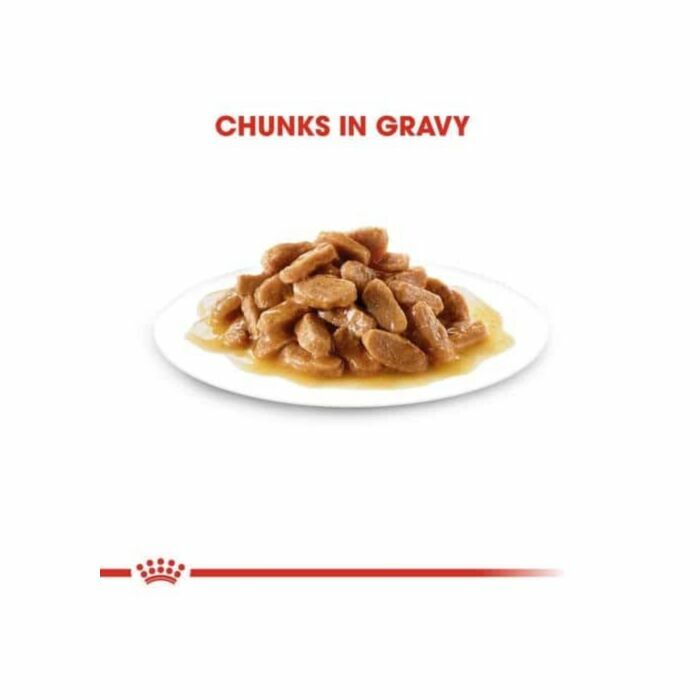 Royal Canin - 幼犬濕糧 - 小型幼犬營養主食濕糧 (肉汁) 85G (12包)