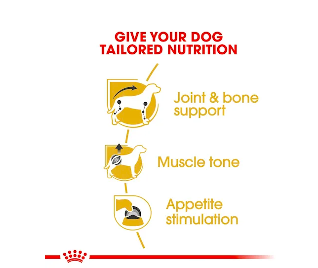 Royal Canin - 狗濕糧 - 臘腸狗成犬專屬主食濕糧 (肉塊) 85G (12包)