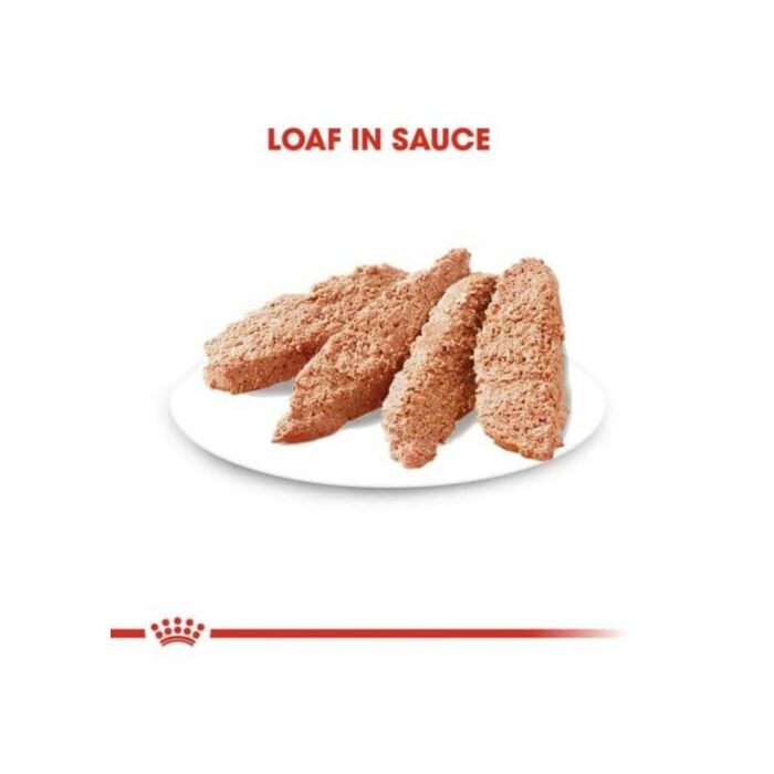 Royal Canin - 狗濕糧 - 成犬消化道加護主食濕糧 (肉塊) 85G (12包)