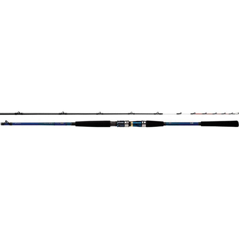 DAIWA 極鋭CONCEPTGAME P HH-220 AGS 船竿敲底