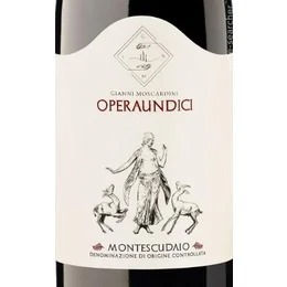 Gianni Moscardini Operaundici 2016 DOC