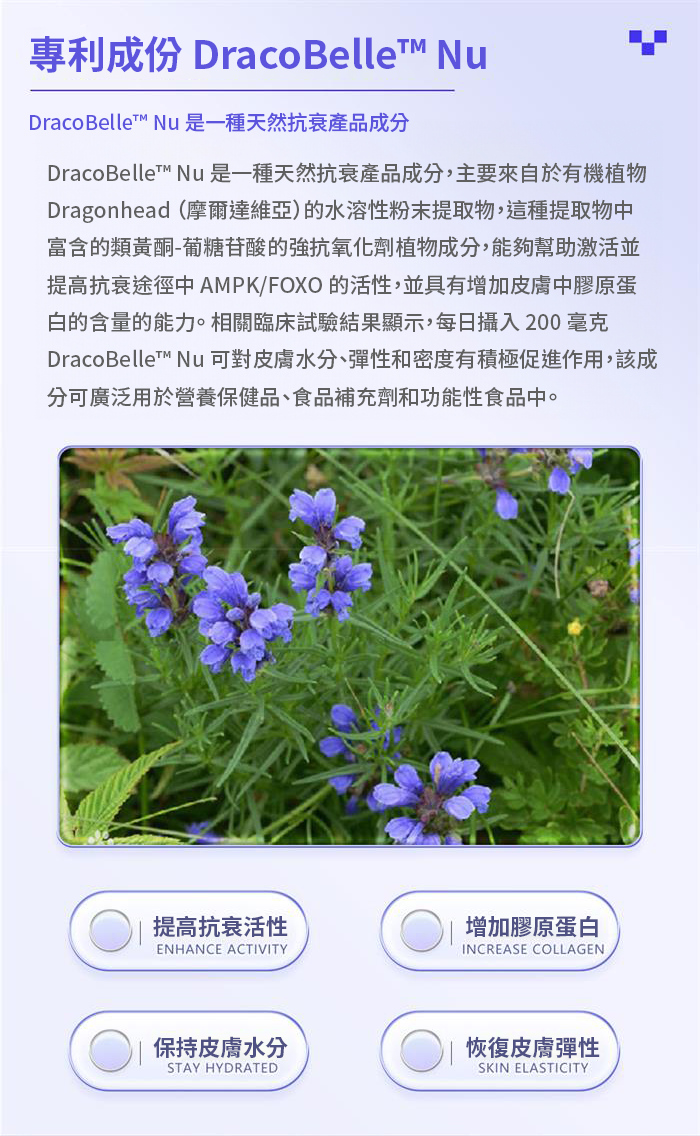DracoBelle,BELLIDOMINA,美白,美國原裝行貨,美國雲杉spruce,Spruce Nutrition,美國雲杉,美白丸,護膚