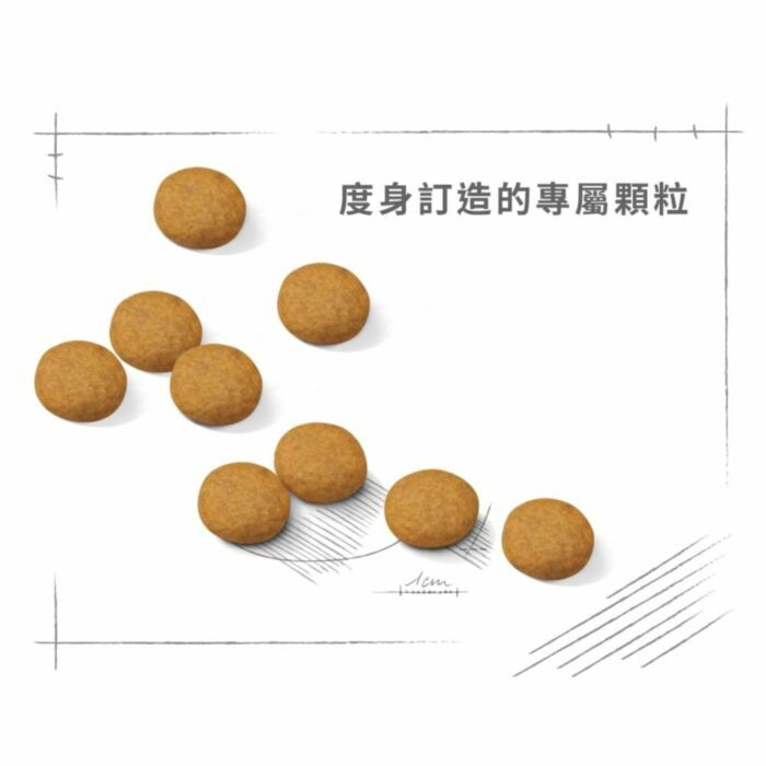 Royal Canin - 狗乾糧 - 中型犬皮膚舒緩加護配方 (12KG)