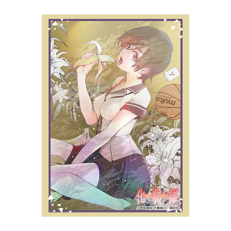 HG2984 - 化物語 『神原駿河』