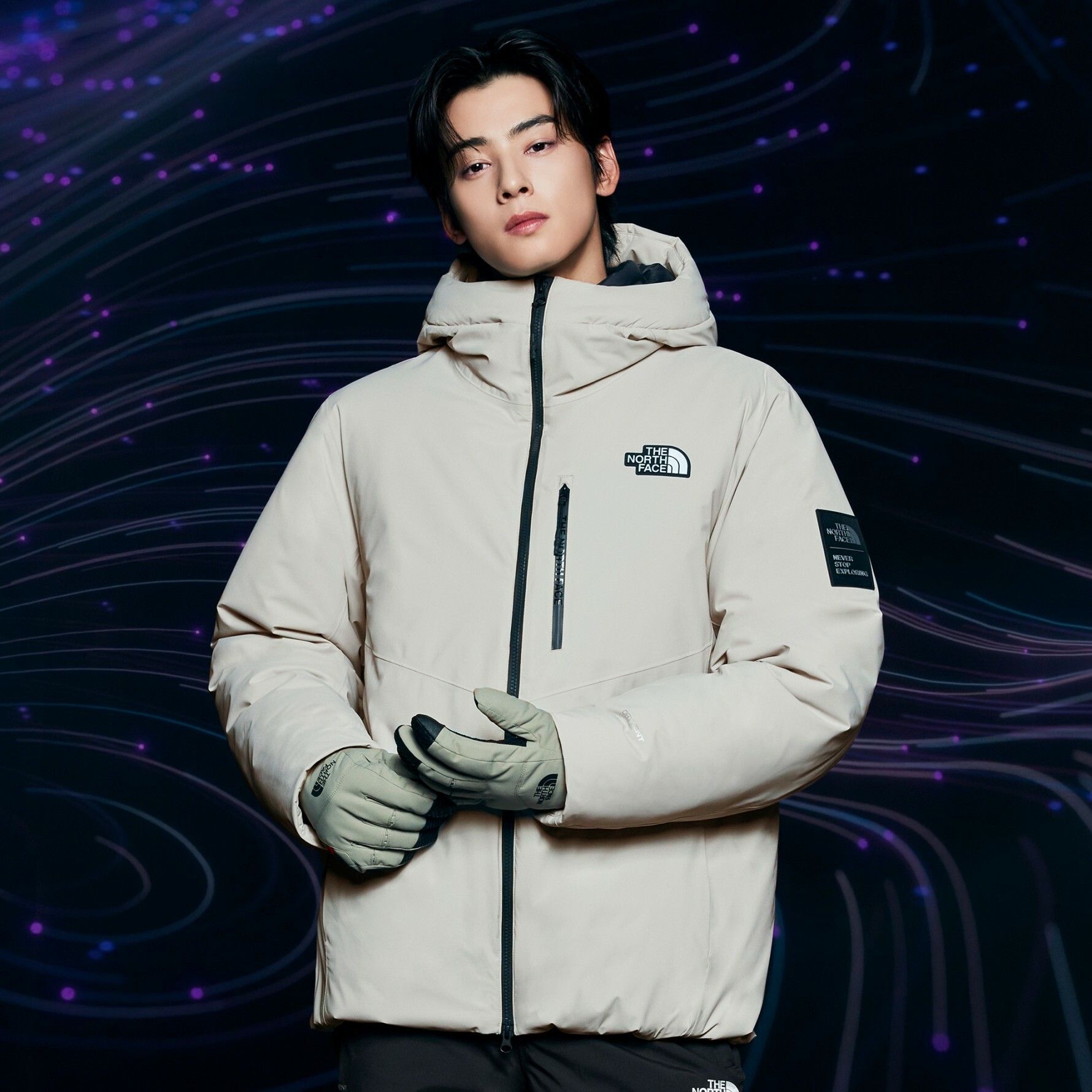 The north store face heated jacket