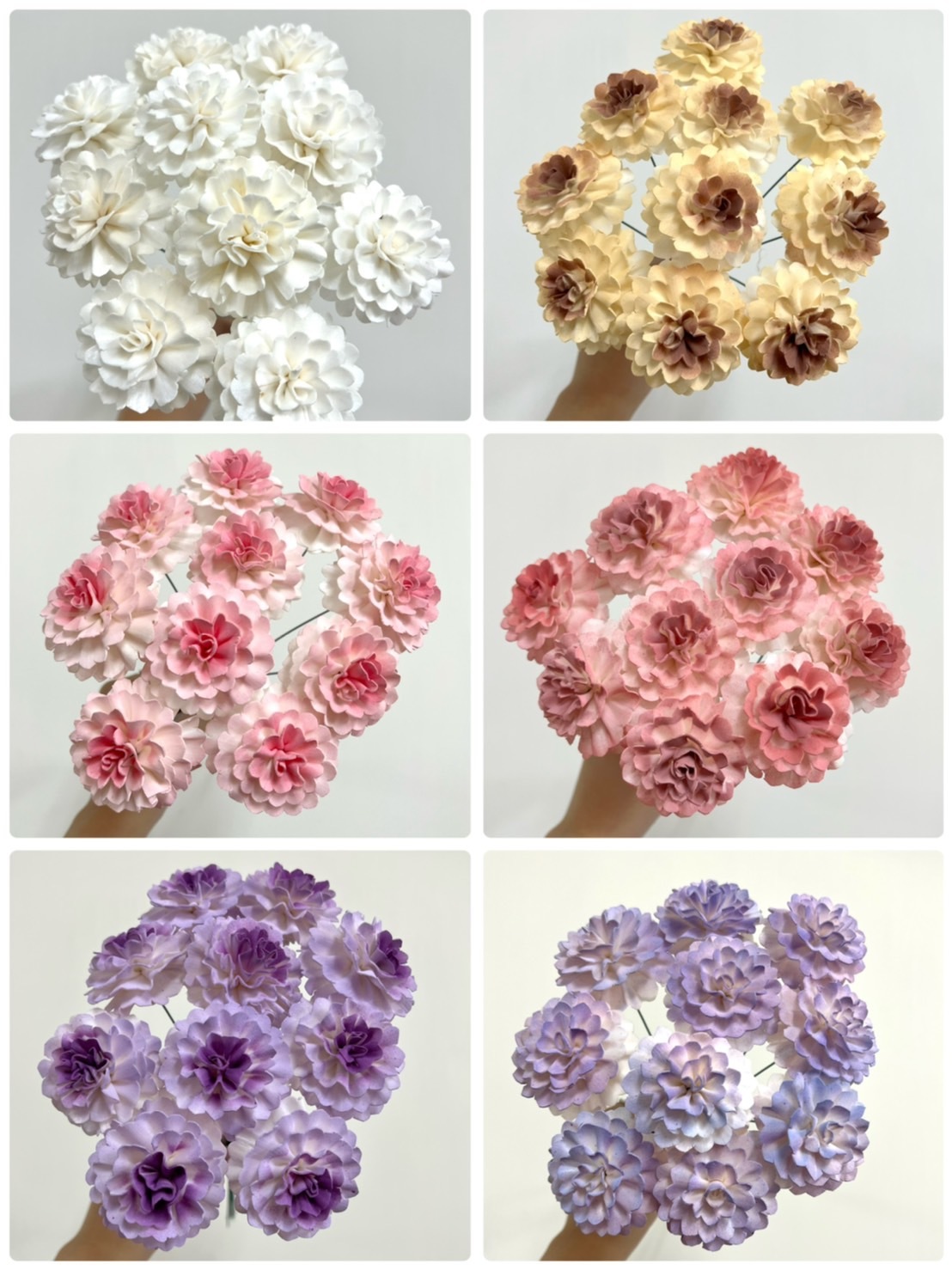 泰國索拉 小花康乃馨  5 CM <十支一把> (高品質)