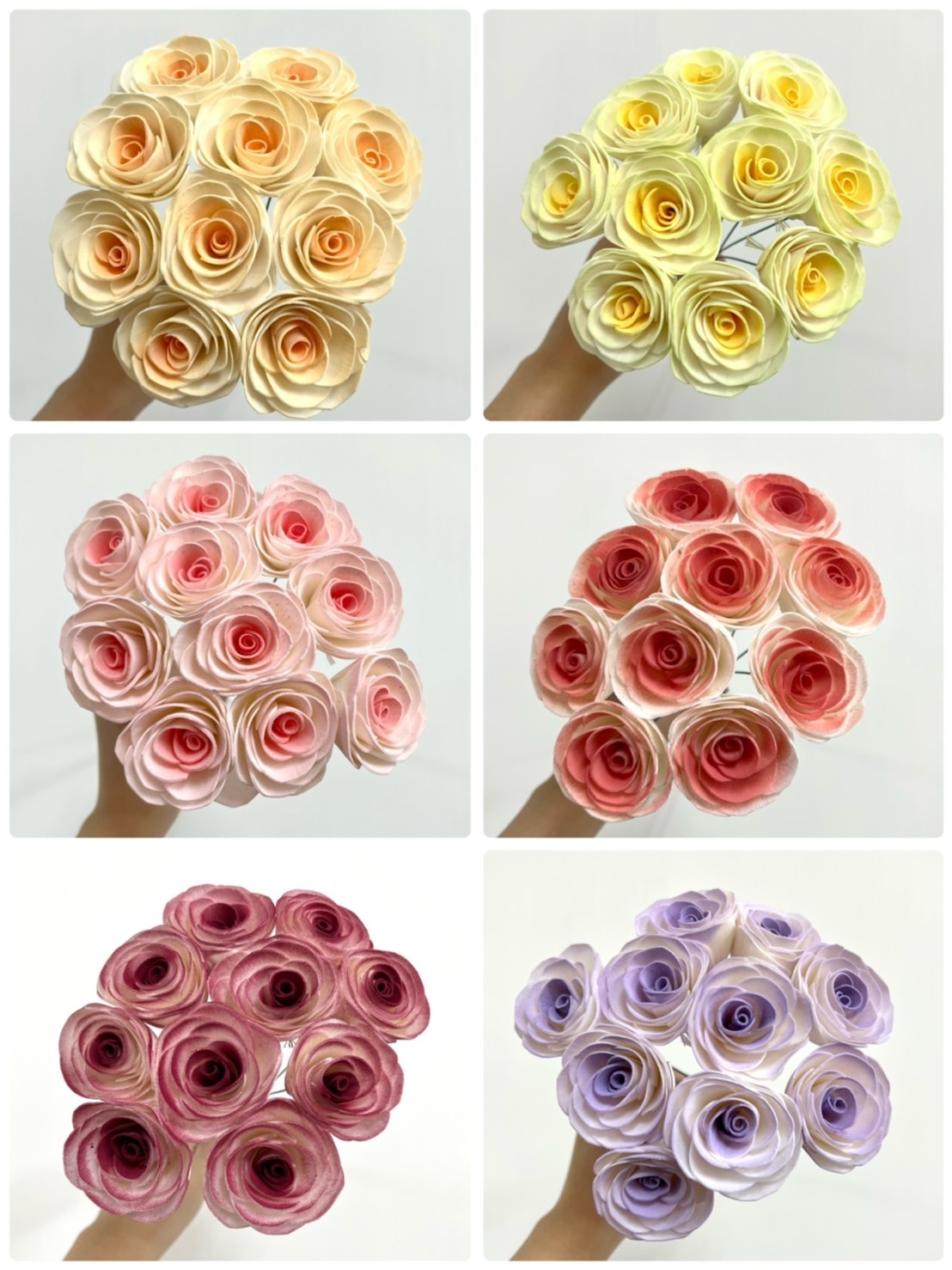 泰國索拉 平原玫瑰 6CM <十支一把> (高品質)