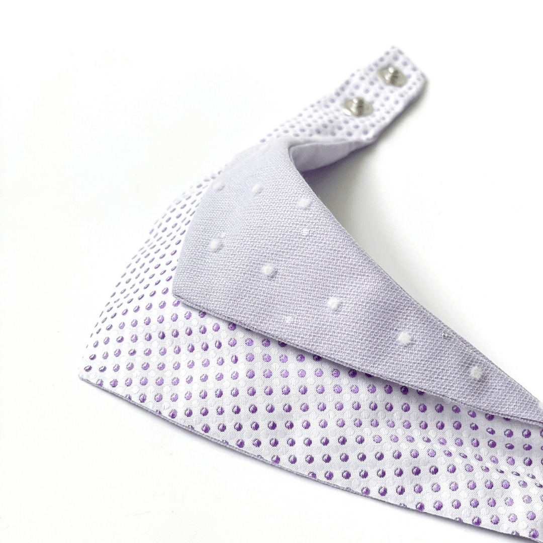 寵物領巾, 貓咪領巾, 貓領巾, 狗狗領巾, 狗領巾