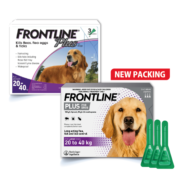 Frontline⎜Plus 殺蚤滴頸劑 20-40 KG (Dog)