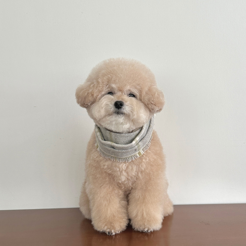 EYOU 經典格紋圍巾（灰/藍）