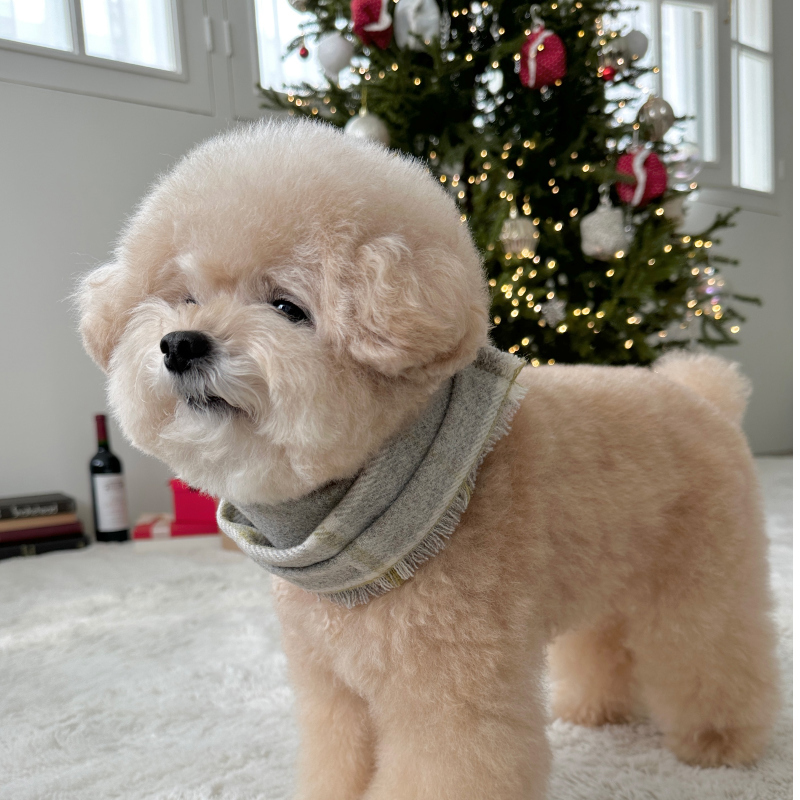 EYOU 經典格紋圍巾（灰/藍）