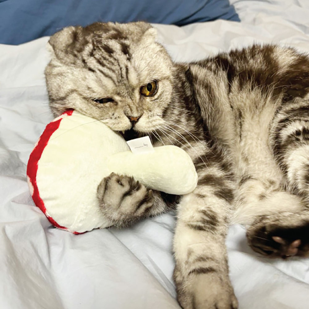 blank day｜ 能量蘑菇