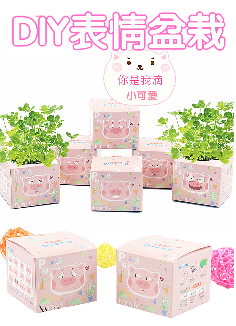 DIY表情盆栽 EC8411