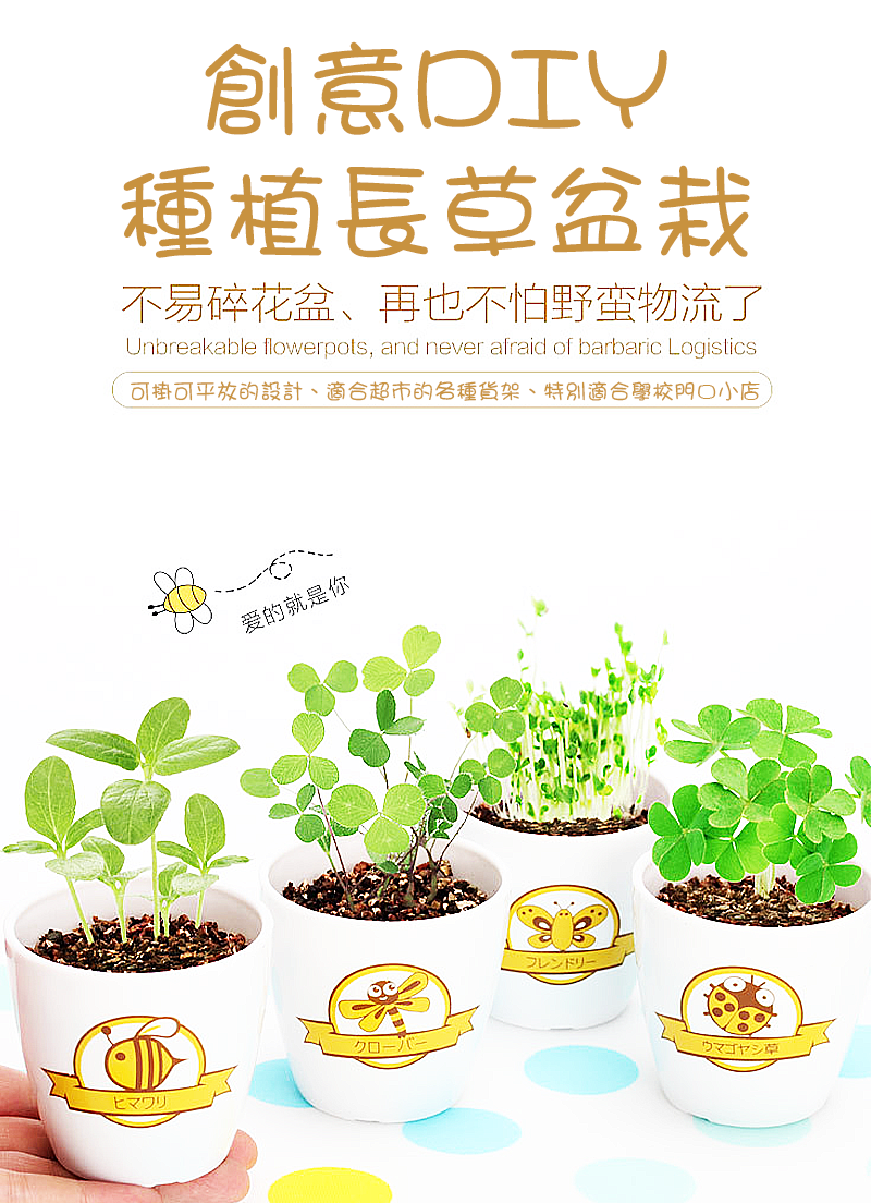 創意DIY種植長草盆栽 EC2763