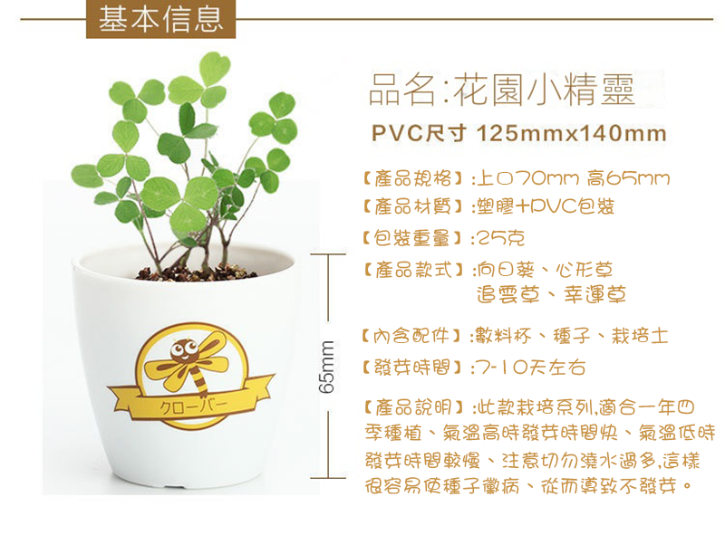 創意DIY種植長草盆栽 EC2763