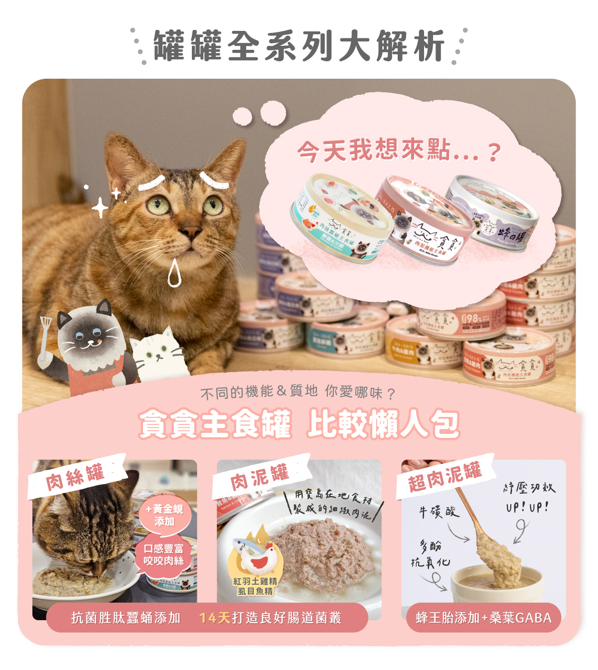 貪貪主食罐懶人包