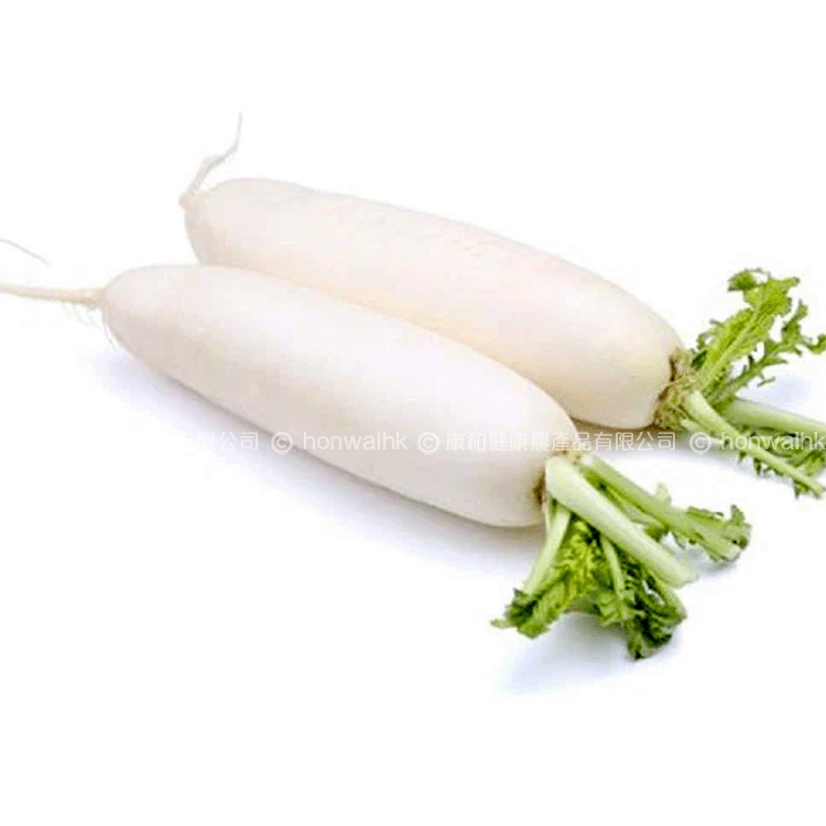 本地有機白蘿蔔