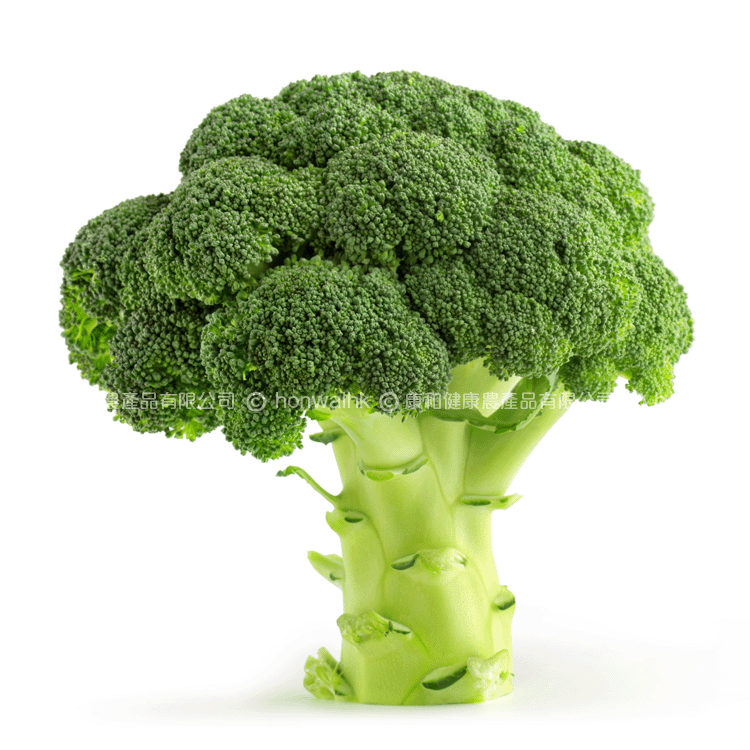 本地有機西蘭花