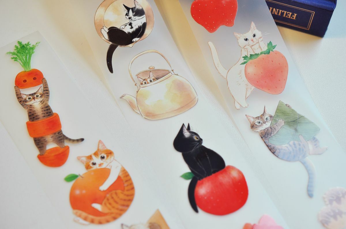 補補貓‧大衛煮愛｜PET紙膠帶｜廚房菓實料理