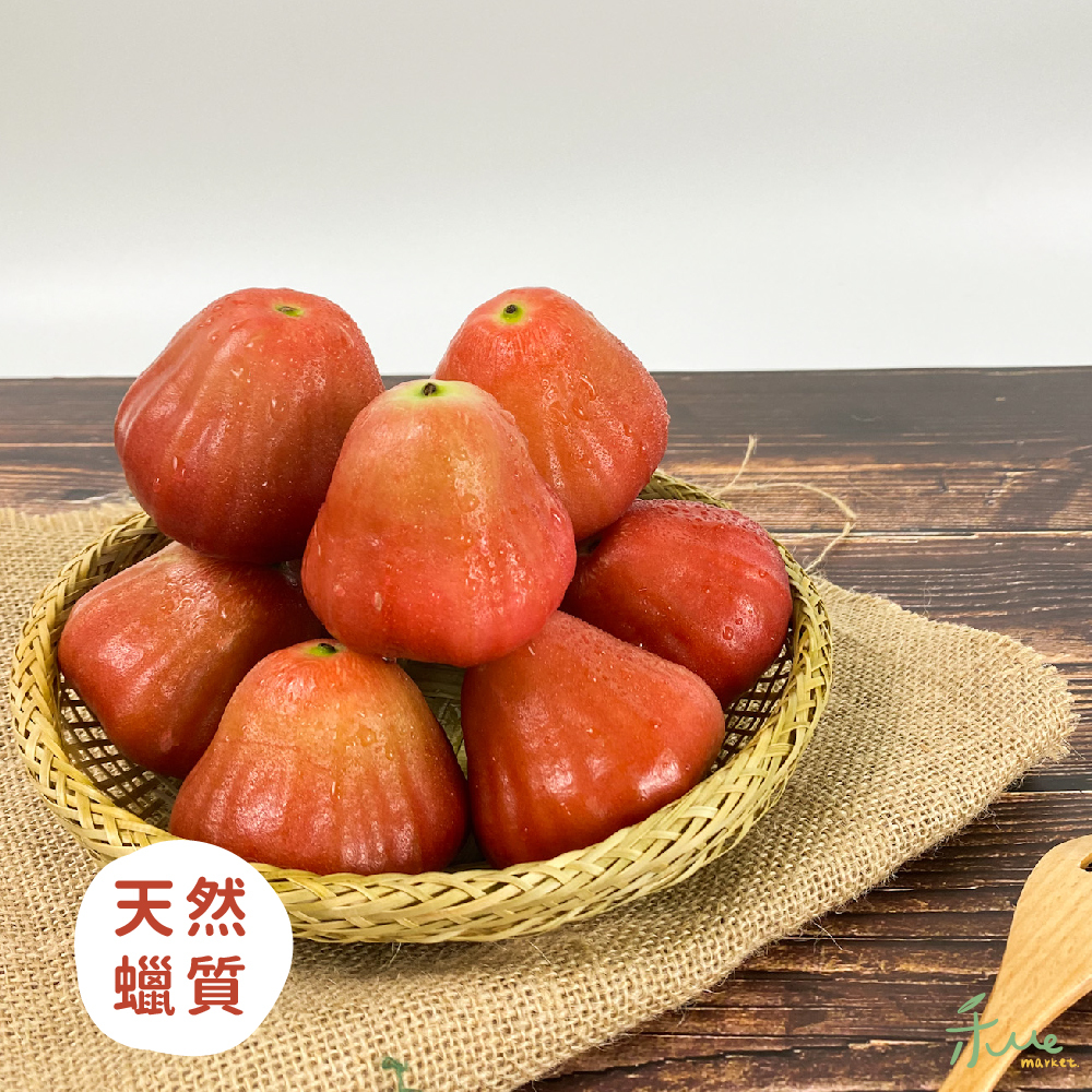 【屏東】黑珍珠蓮霧