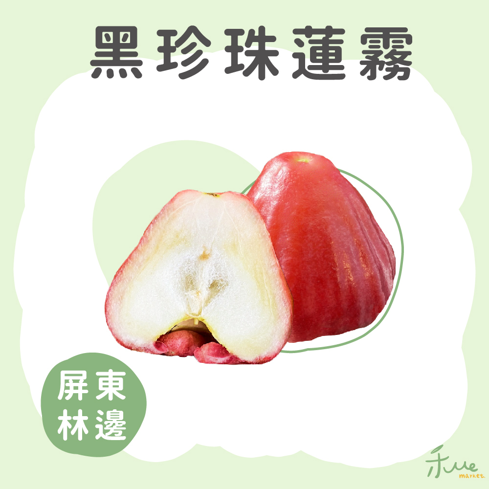 【屏東】黑珍珠蓮霧