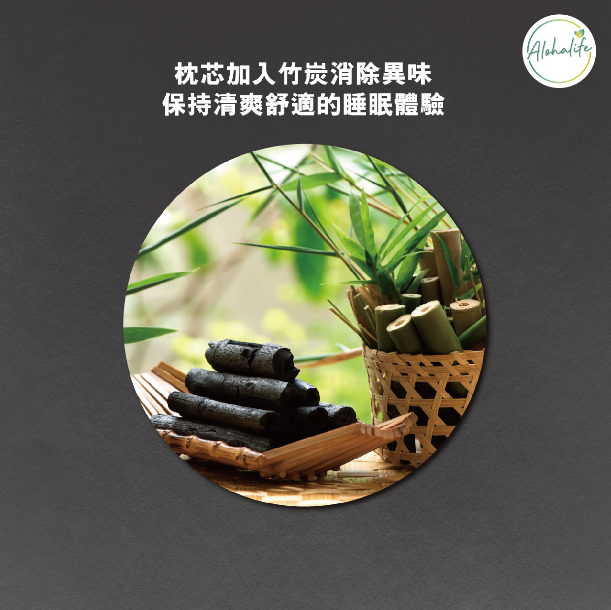 Sinomax 石墨烯抗菌調節枕(雙向枕頭) 11-0655-00 Sinomax 石墨烯抗菌調節枕(雙向枕頭) 11-0655-00