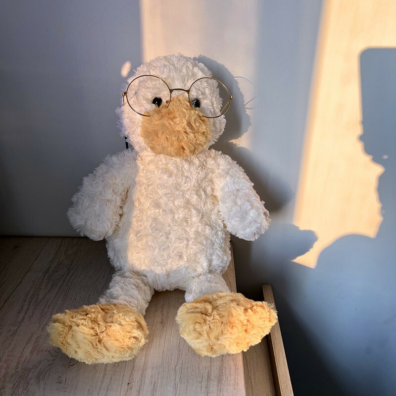 《3452》ins捲毛鴨鴨玩偶