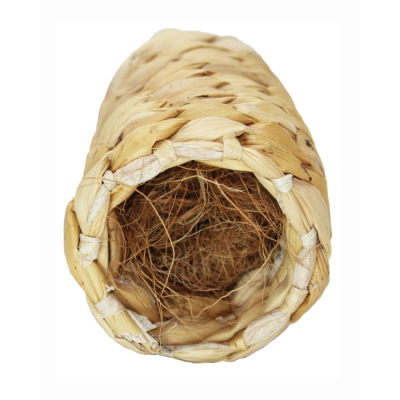 Kawai 香蕉莖隧道