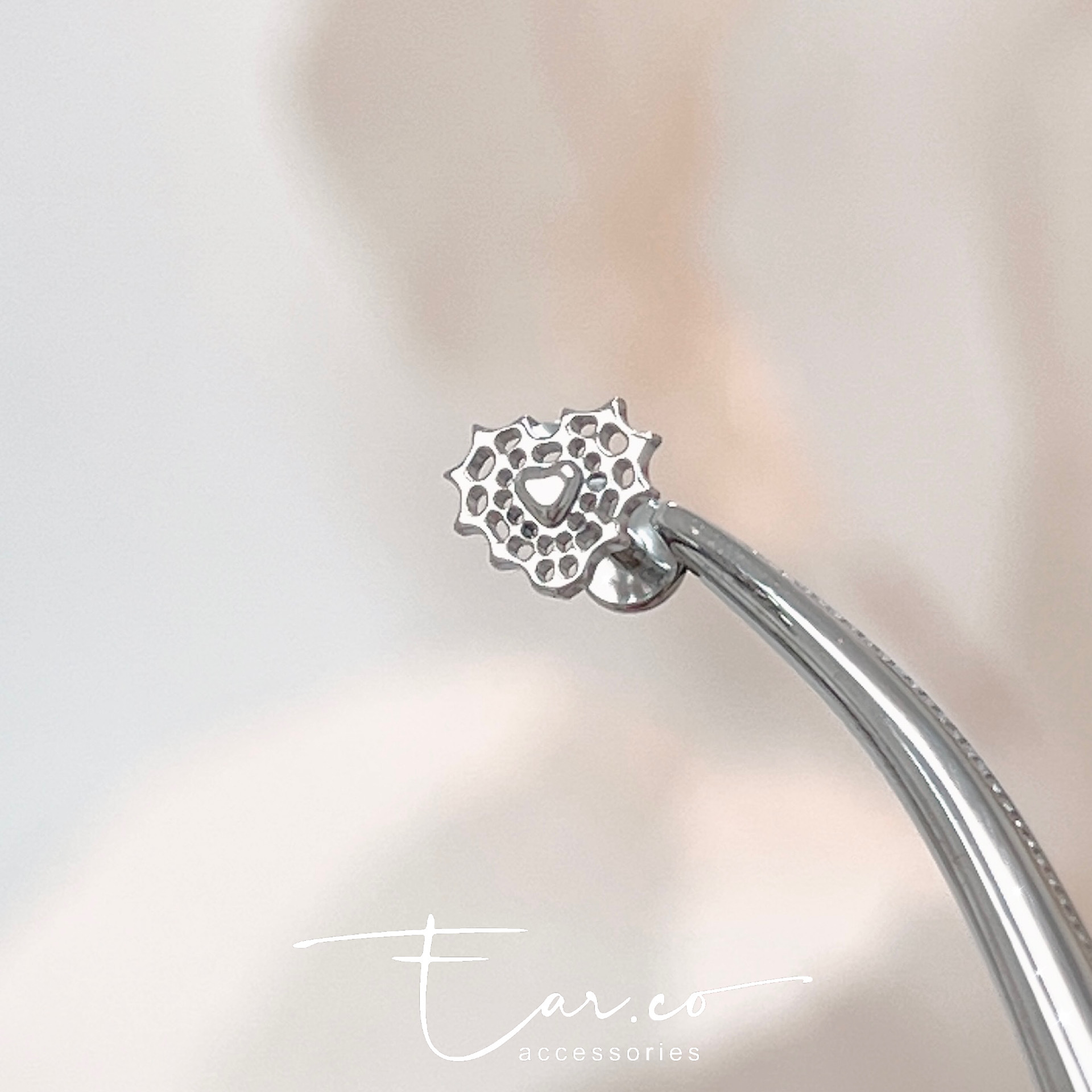 愛心蜘蛛網垂釣小星星平頭耳門/耳珠/耳骨釘 [G23 Titanium] [單支]