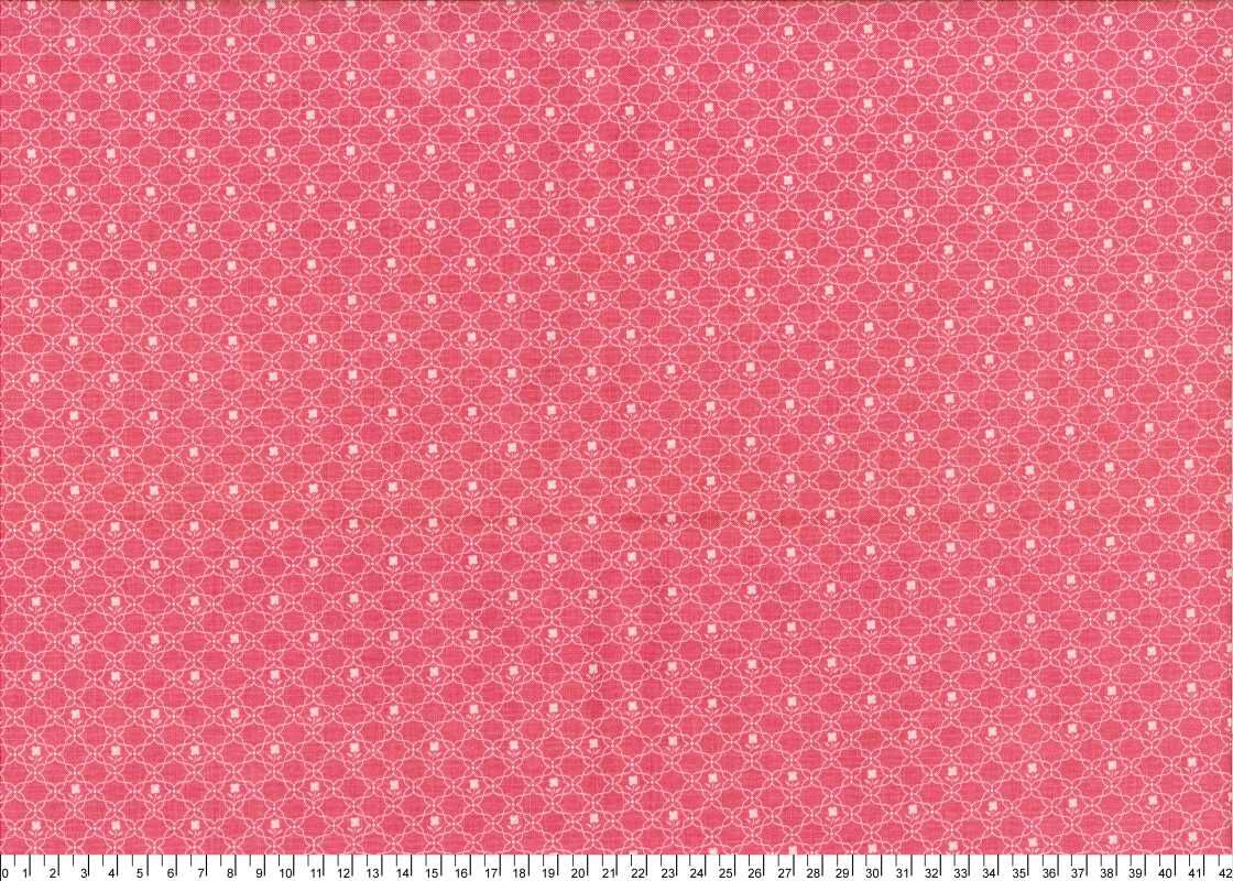 進口棉布23120080[1尺]